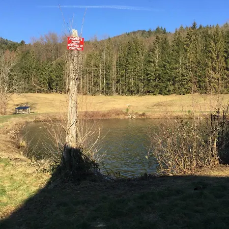 Grand Standing Dans Cadre Idyllique Saint-Etienne-les-Remiremont