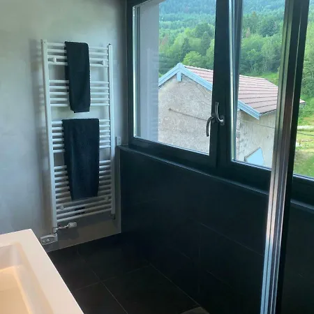 Grand Standing Dans Cadre Idyllique Saint-Etienne-les-Remiremont