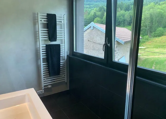 Grand Standing Dans Cadre Idyllique Saint-Etienne-les-Remiremont